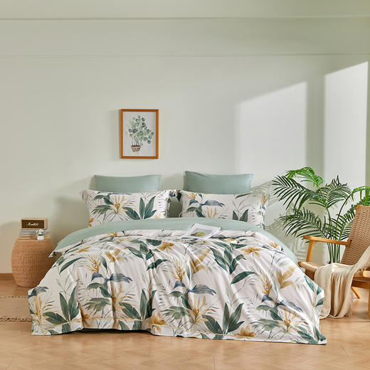 多喜爱 全棉斜纹印花套件 森氧絮语/花绵【新疆棉】【精美织带】【芬纳诺抗菌】【宽边枕袋】【金色礼盒包装】柔软亲肤 吸湿透气 耐洗耐磨 不易褪色 商品图5