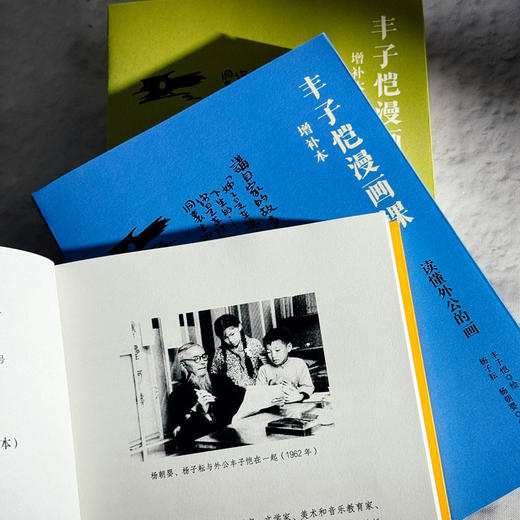 丰子恺漫画课 读懂外公的画 增补本 图文结合 诗画互证 家庭教育 商品图10