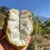 【牛奶凤梨释迦果】| 颜值0，味道10000+，口感冰淇淋一样的质地、软糯嫩滑、甜而不腻，口齿留香，备受喜爱~ 商品缩略图10
