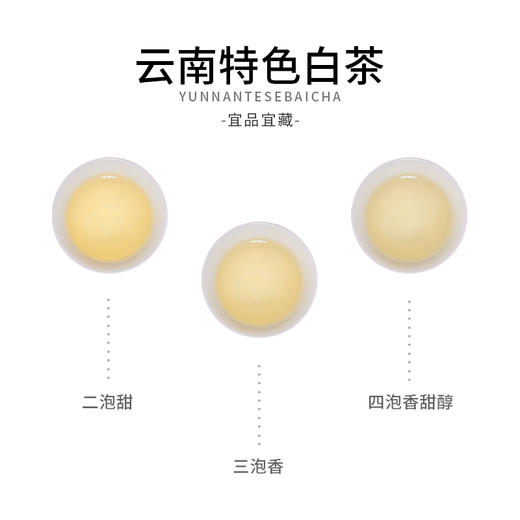 凤牌白茶茶叶2022云南高山正宗特级白毫银针50g罐装 商品图6
