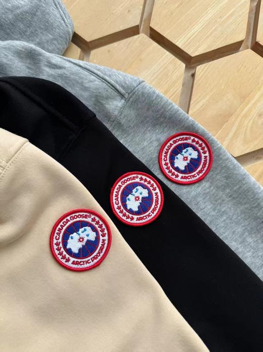 F011360新款纯棉针织复合奥立绒休闲加厚连帽卫衣 商品图4