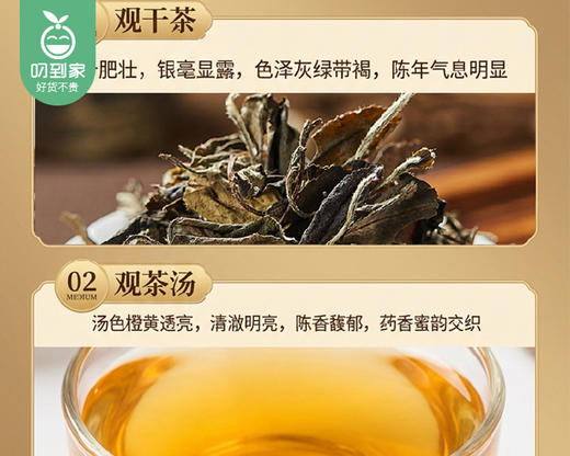 【预售-4月8日配送】藏兮福鼎老白茶【一桶天下-老茶铺】（2019年寿眉，密封大铁罐散茶-配礼袋）/1罐（500g）生产日期：25年12月 商品图2