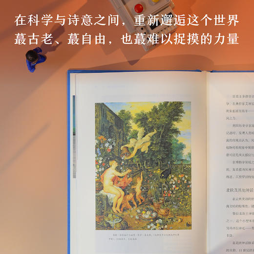 【天际线】风：自然文化小史 商品图2