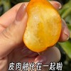 雲端脆蜜•金柑【顺丰/京东发货】 商品缩略图3