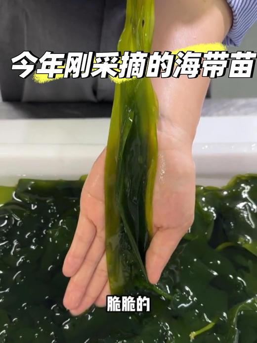 特级海带嫩苗🍃每一口都能感受到来自海洋清新自然的美味~ 商品图1