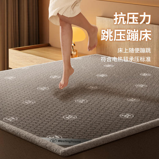 【2025款 暖冬必备】西屋电热毯，双区独立控温 温暖各取所需，九档控温15H自由定时 商品图3