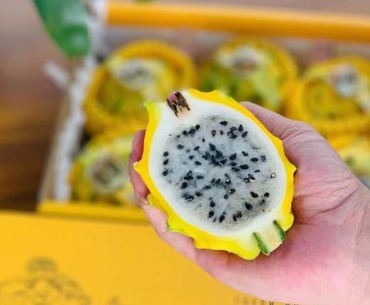 【会员28.5/颗】海南空运麒麟燕窝果 大果 300g/颗 商品图5