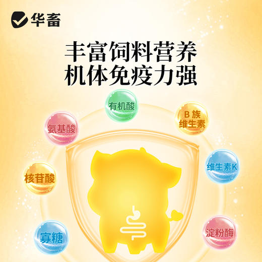 华畜酵皇1kg提高免疫力提高肠道消化 商品图3