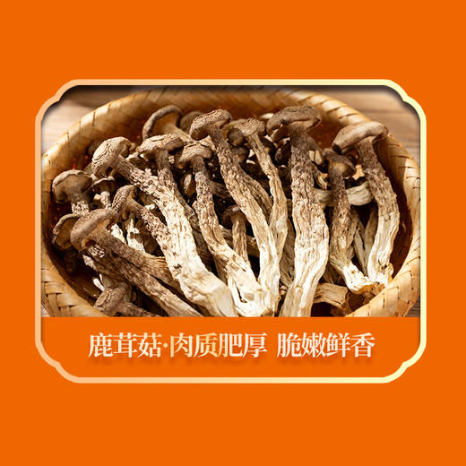 绿帝山海甄品菌菇海鲜礼盒 商品图1