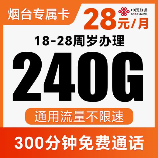 【长期套餐】月享240G通用流量+300分钟！不限APP使用！仅发山东烟台！庆典卡 商品图0