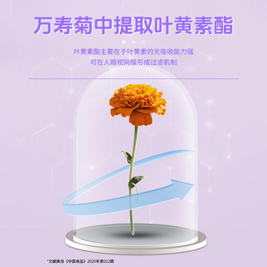 【蓝莓叶黄素软糖】精选原料 专业配方 口味酸甜 商品图2