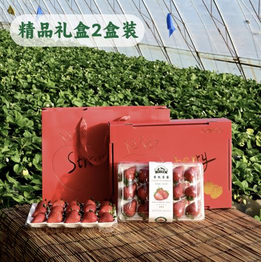 【精品装】平人有机草莓 350g（个头小） 商品图7