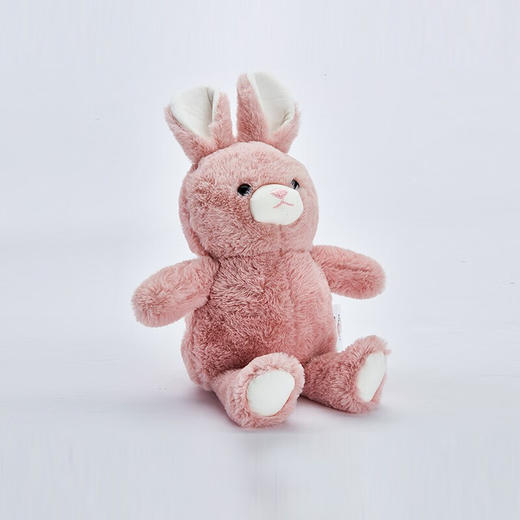 办公室动物抱枕午睡枕头玩偶毛绒公仔抱枕 商品图2