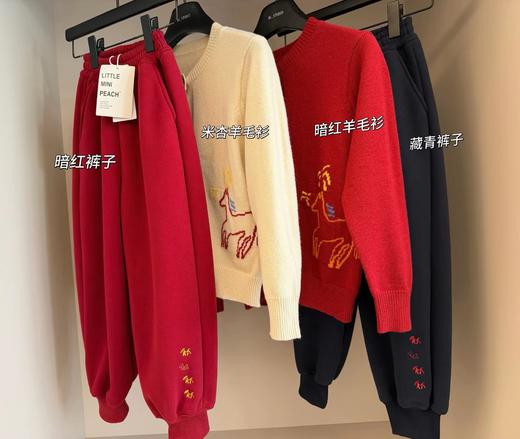 F011371儿童马年元素刺绣图案服装羊毛衫+灯笼裤套装 商品图1