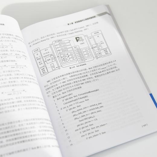 新型数据中心网络 从云数据中心到智算中心网络 网络测量 可编程数据面 商品图4