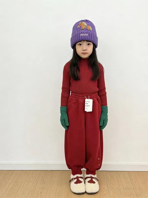 F011371儿童马年元素刺绣图案服装羊毛衫+灯笼裤套装 商品图7