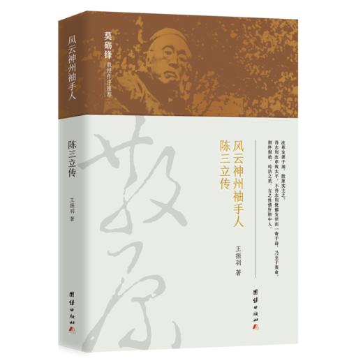 风云神州袖手人陈三立传 商品图1