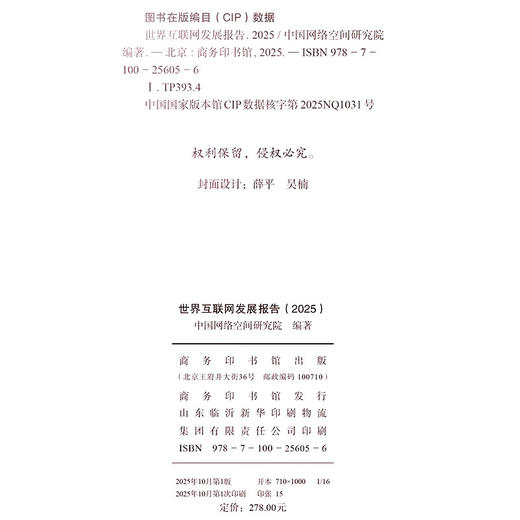 世界互联网发展报告（2025） 商品图1