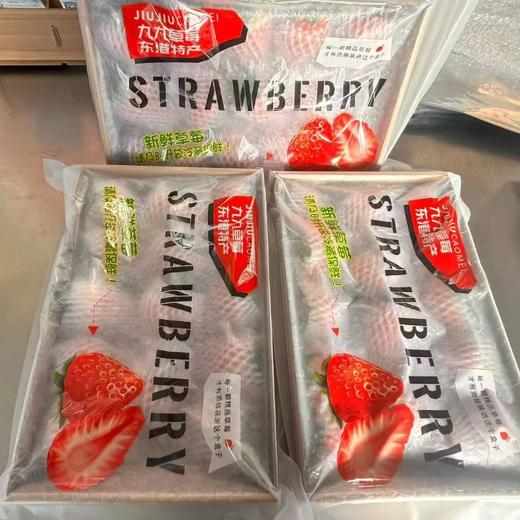 【顺丰空运】丹东红颜99号草莓 丹东产地基地现摘现发  甄选品质 每颗都是优中选优 饱满多汁 - BYKSG 商品图9