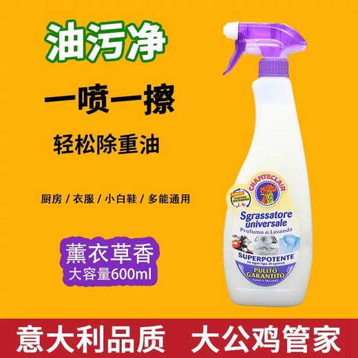 【门店直发】大公鸡管家多功能油污净600ml/瓶 商品图1
