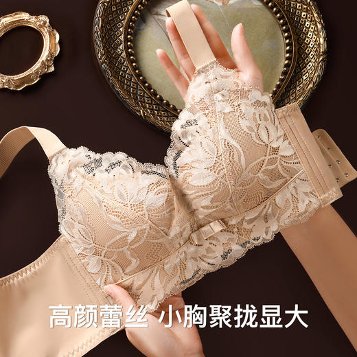 【298选3】A2-【A-C杯】【小胸专属 聚拢显大A变C】内衣女防下垂收副乳上托调整型文胸   浅语梦楹 商品图5