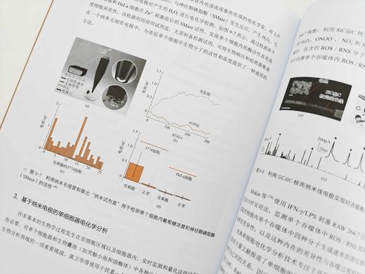 电化学分析 商品图5