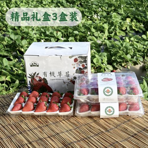 【精品装】平人有机草莓 350g（个头小） 商品图8