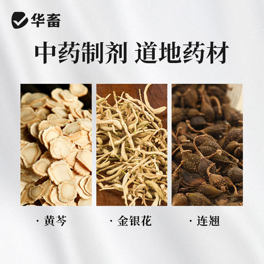 华畜双黄连口服液500ml 感冒呼吸道药 商品图1