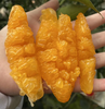【蒲江耙耙柑】农家自种，当季新鲜，肉细多汁，原生态果子！ 商品缩略图4