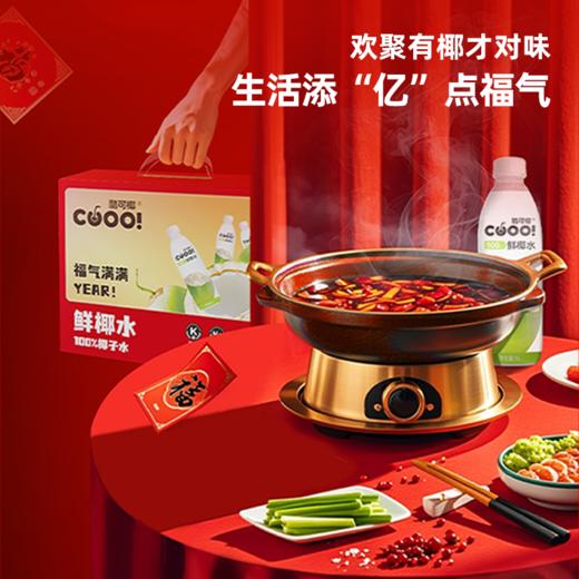 【酷可椰】100%鲜椰水1L家庭分享装 商品图0