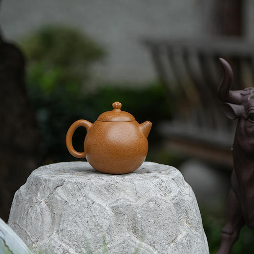 龙德堂陶艺 汤宣武 作品《菊花西子》原矿葵黄朱泥 230cc 库存请咨询客服 商品图1