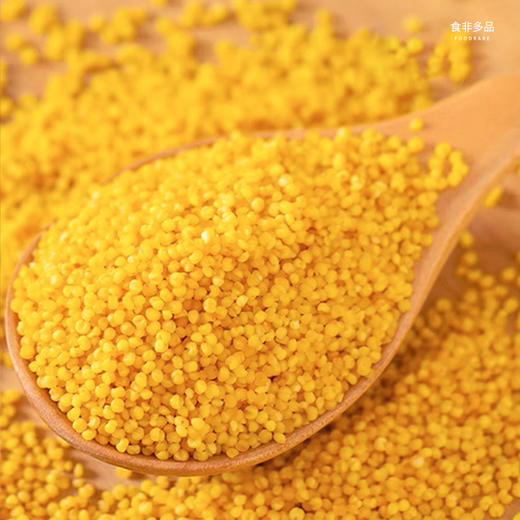 中国地标食物 | 正宗山西沁州黄小米 米油丰厚 米汤金黄 香甜暖胃 商品图1