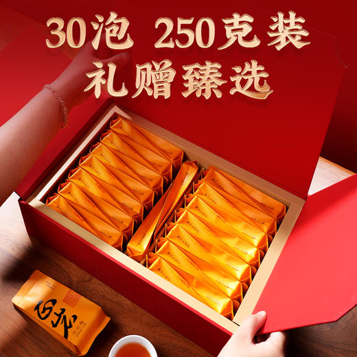 茶马世家丨正岩大红袍 武夷岩茶 乌龙茶 249g（8.3g*30泡） 商品图2