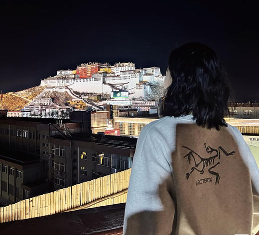 男女同款鸟家加绒加厚580g卫衣 商品图1