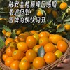 雲端脆蜜•金柑【顺丰/京东发货】 商品缩略图4