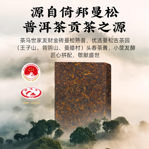 云南倚邦曼松古园古普洱茶9年陈古树熟普发财金砖888g礼盒装珍藏纪念款CM 商品图5