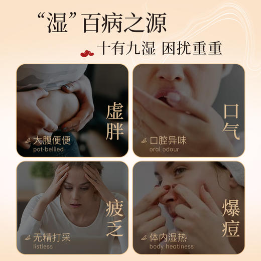 【特价秒杀】CHALI 尝鲜大礼包 多口味尝鲜组合 商品图11