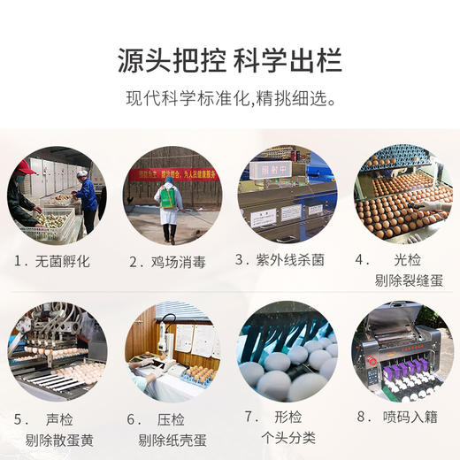 我的鸡笼新鲜鸡蛋30枚装 江浙沪包邮 商品图8