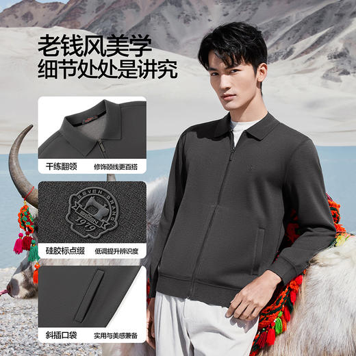 【含羊毛/加绒/可机洗/抗静电】柒牌男士翻领针织衫加绒保暖男装129Y70090 商品图3