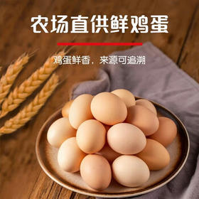 徐福记减糖30%沙琪玛香酥鸡蛋味526g/袋 约16枚  零食点心