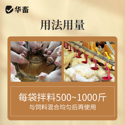 华畜四季流感兽用提免疫中药提取猪牛羊鸡鸭鹅孕畜可用呼吸流感康 商品图5