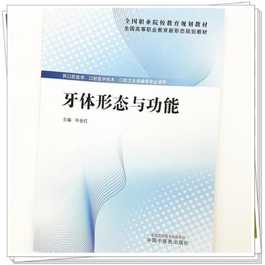 牙体形态与功能 辛金红 主编 全国高等职业教育新形态规划教材 中国中医药出版社 商品图3