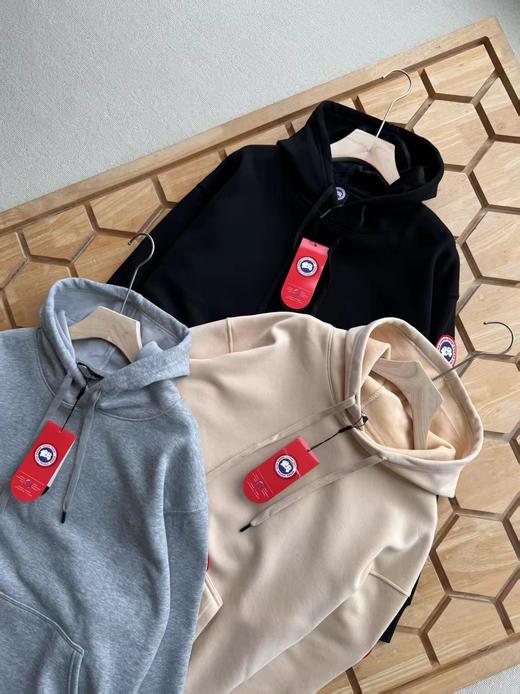 F011360新款纯棉针织复合奥立绒休闲加厚连帽卫衣 商品图2