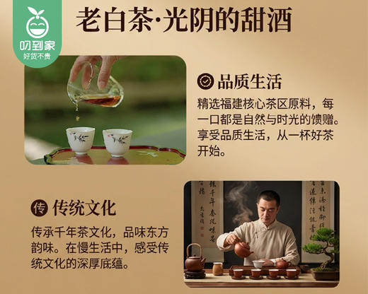 【预售-4月8日配送】藏兮福鼎老白茶【一桶天下-老茶铺】（2019年寿眉，密封大铁罐散茶-配礼袋）/1罐（500g）生产日期：25年12月 商品图5