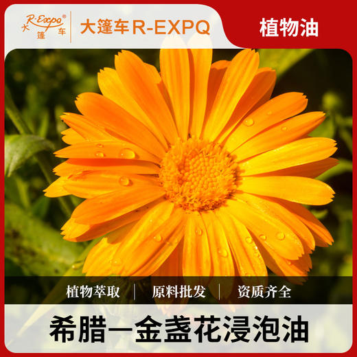 金盏花浸泡油Calendula西班牙进口美容院按摩油基底油批发 商品图0
