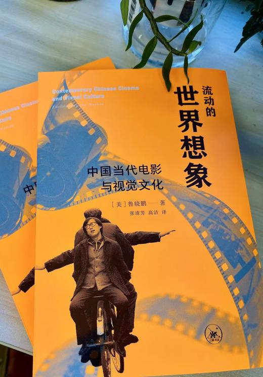 流动的世界想象——中国当代电影与视觉文化 商品图3