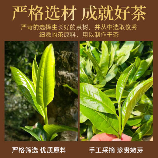 茶马世家丨云南凤庆古树红茶 滇红  250g*2罐 礼罐配手提袋 商品图4
