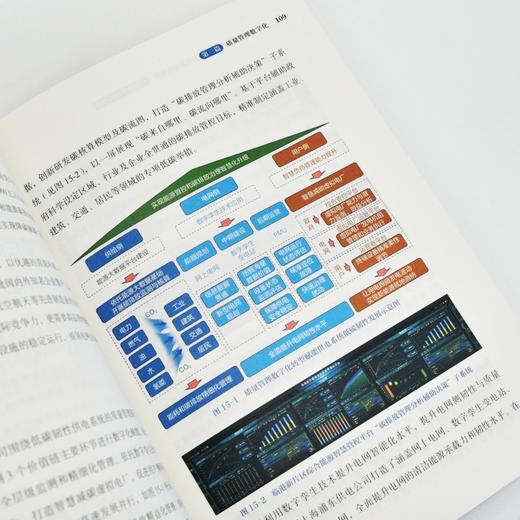 工业和信息化质量提升与品牌建设典型案例：质量管理能力提升 精选30个案例 制造业企业管理技术人员高质量发展产业经管书籍 商品图4
