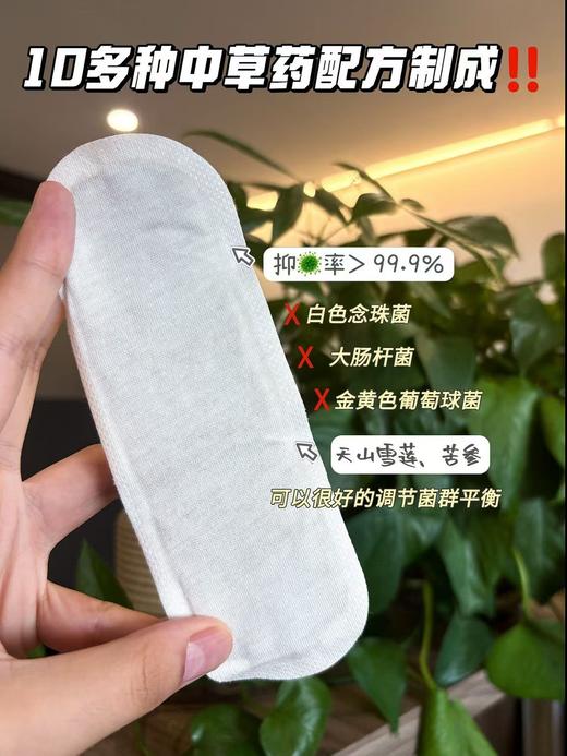 plws-雪莲净养贴(12片装)私密 商品图6