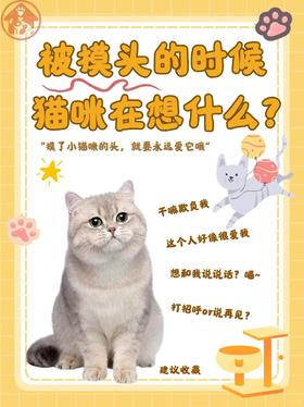 原来摸猫猫头，在它们眼里是这个意思